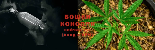 дурь Белокуриха