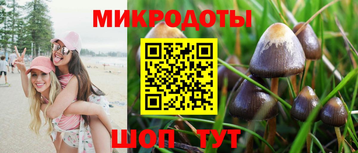 закладки  Псилоцибиновые грибы Magic Shrooms  Вход с VPN  Ессентуки 